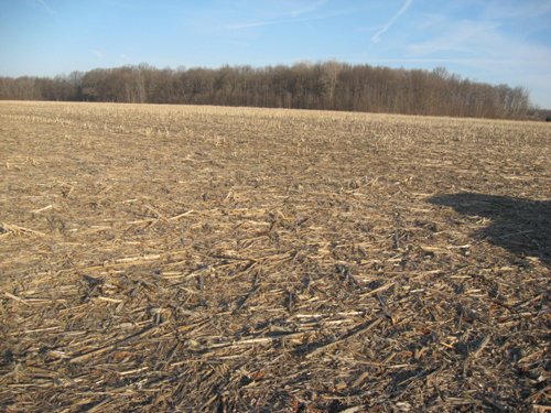 Property photo 12 - 44 Acres Offered in 3 Tracts